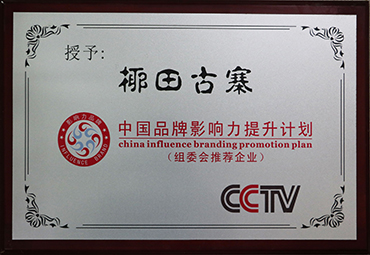 中国品牌影响力提升计划组委会推荐企业.jpg