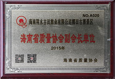 海南省质量协会副会长单位1.jpg