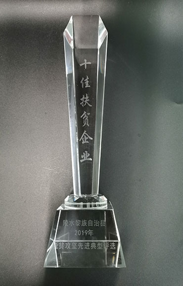十佳帮扶企业.jpg